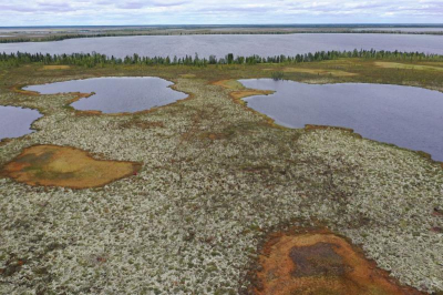 Томские ученые уточнили запасы органического углерода в мерзлых болотах